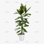 demo-attachment-43-Group-10173